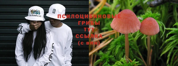 соль курить ск Касимов