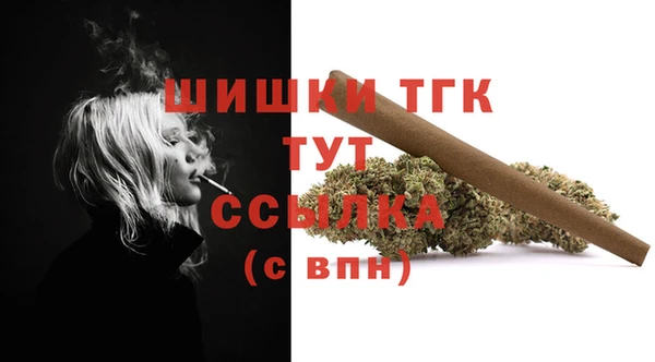 гидропоника Карпинск