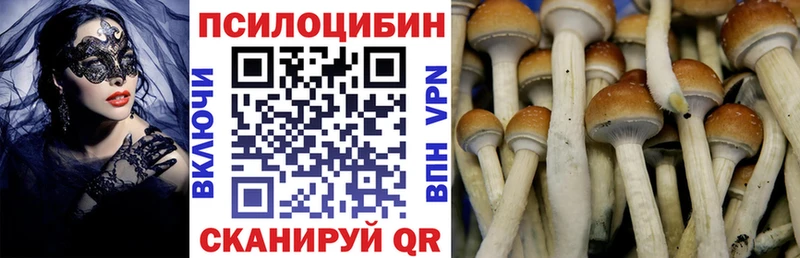 Купить  Железногорск  Галлюциногенные грибы мухоморы 
